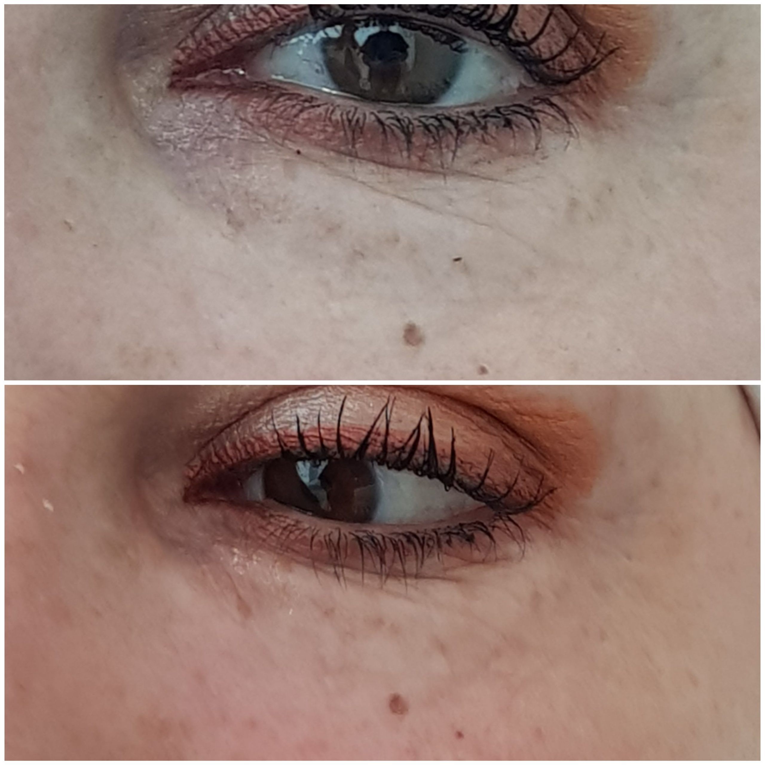 OJERAS (5)